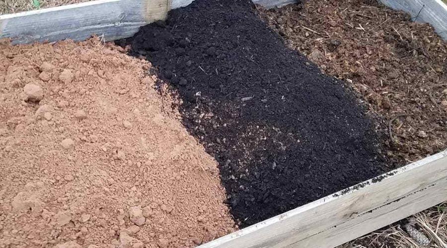 Soil for an Existing Vegetable Bed