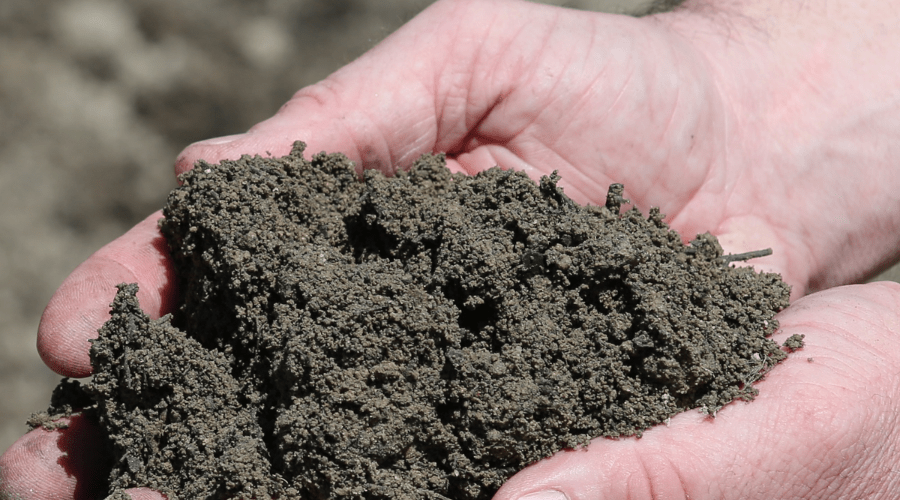 Topsoil