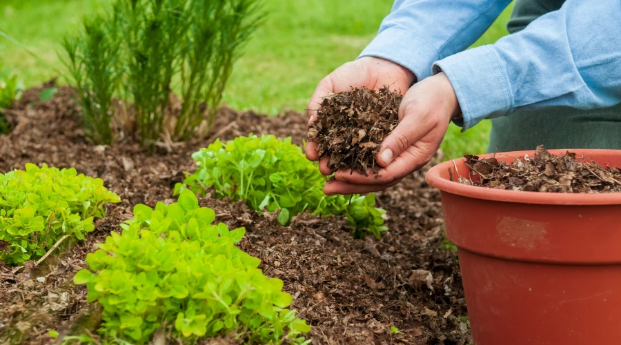 Garden Mulch