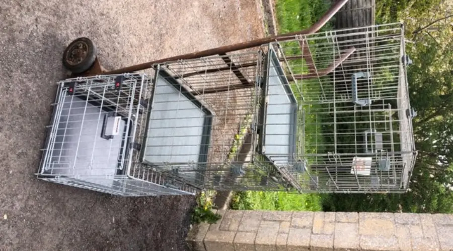 Car dog crates and a cat carry cage