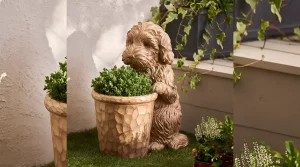 cheap pots for planting