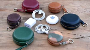 Earbud case