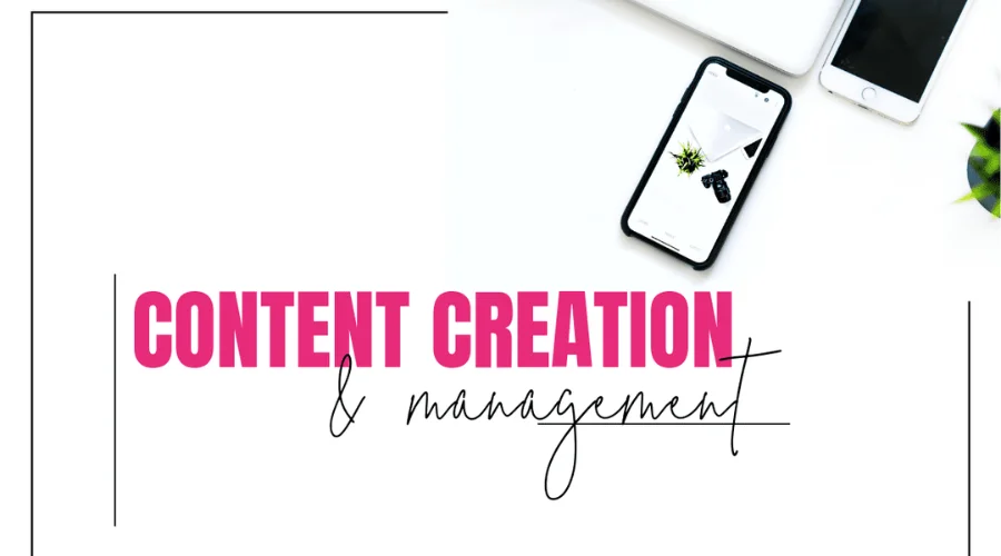 Content Creation and Management | savewithnerds