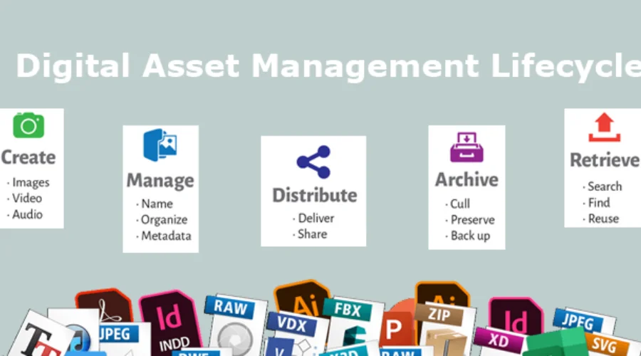Digital Asset Management | savewithnerds