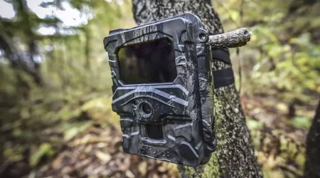 Best Trail Cameras