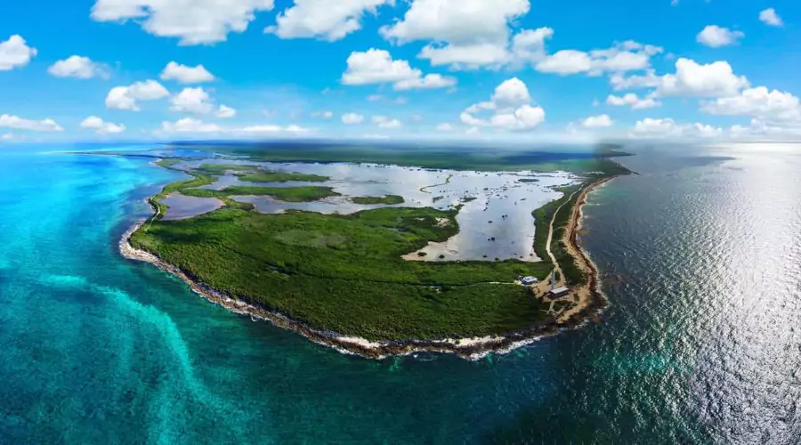 Immerse Yourself in the Underwater World at Cozumel