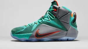 Nike lebron shoes