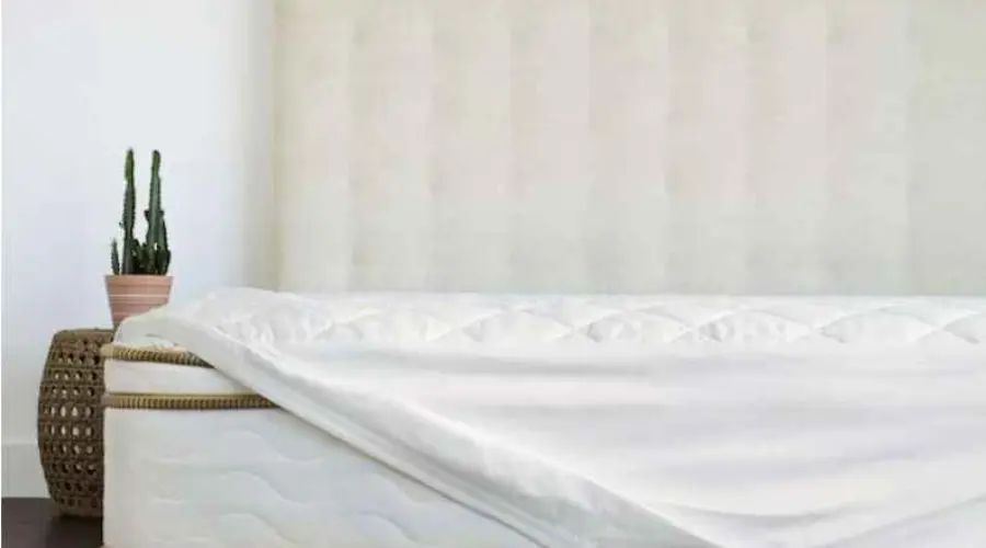 Organic Mattress Pad | Savewithnerds