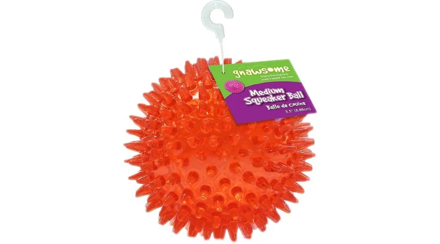 Gnawsome Squeaker Ball Dog Toy, Color Varies 
