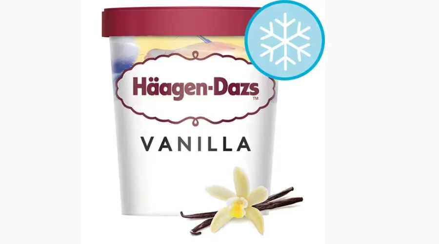 Haagen-Dazs Vanilla Ice Cream 460Ml