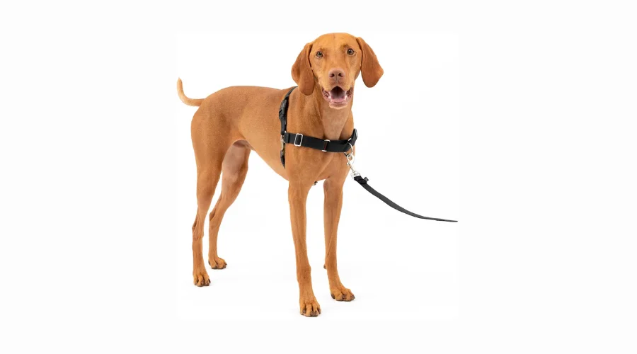 PetSafe Easy Walk Dog Harness