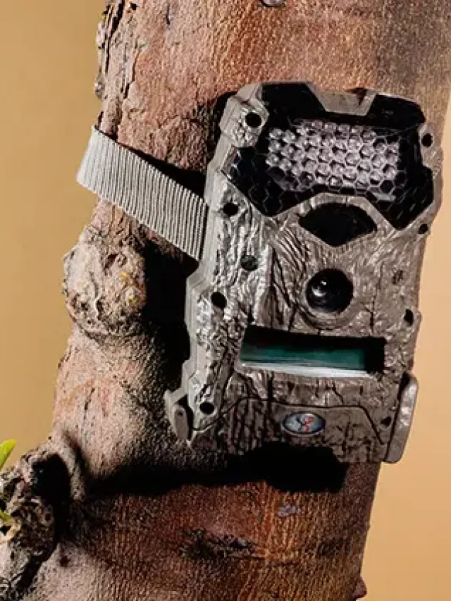 Exploring the Best Trail Cameras: An In-Depth Look at BassPro’s Selection