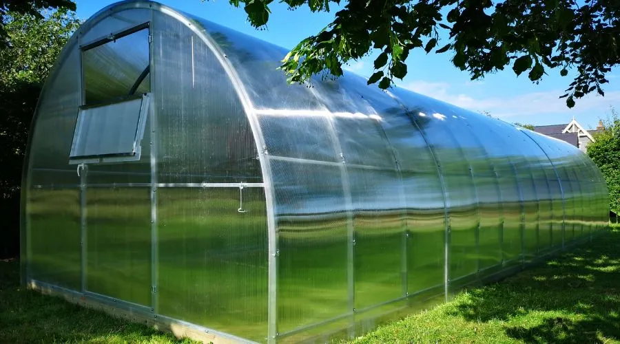 Poly-Tunnel Greenhouse
