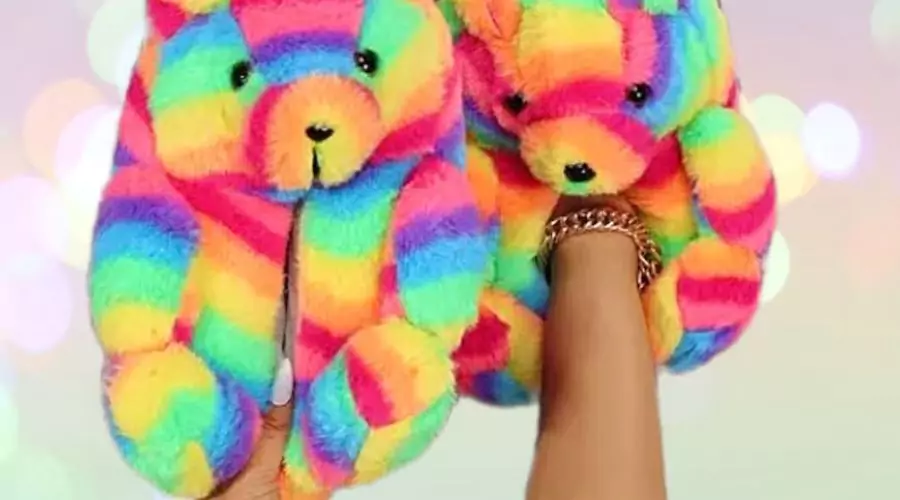 RAINBOW - Teddy Bear Slippers