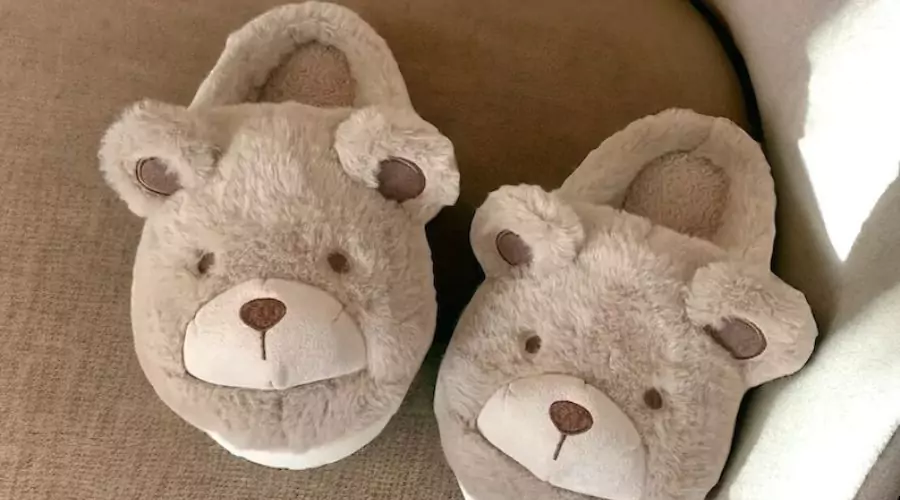Teddy Bear, Fluffy Slippers