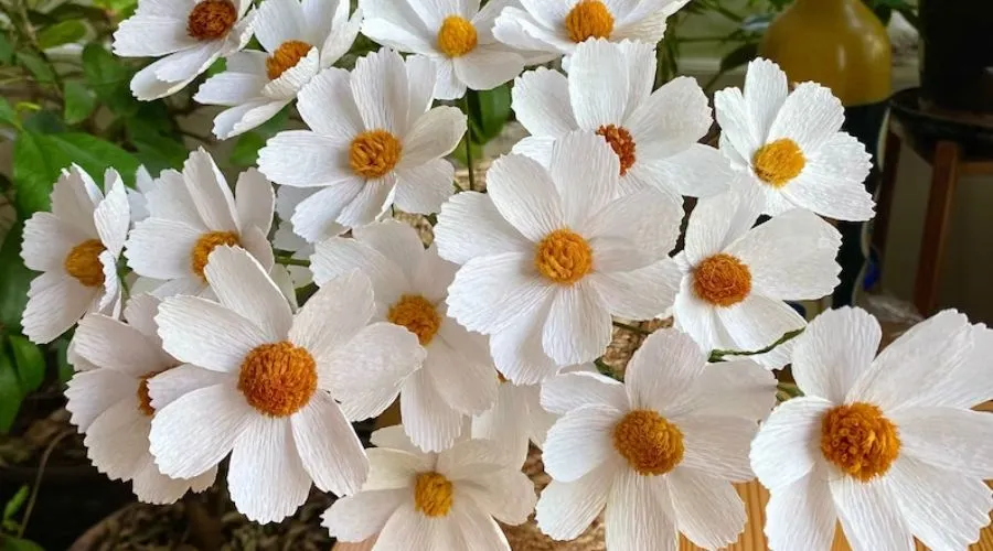 White Cosmos Paper Flowers
