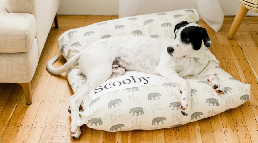 Dog Bed Cover 