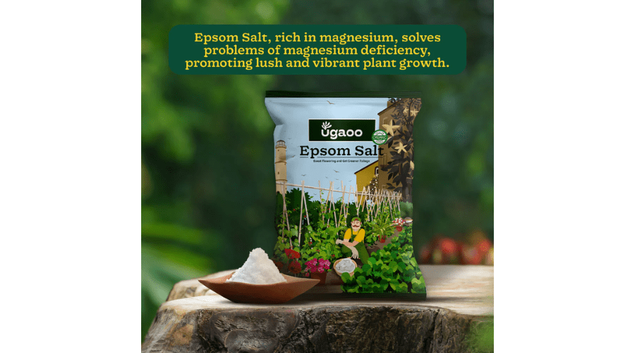 epsom salt for plants | Savewithnerds