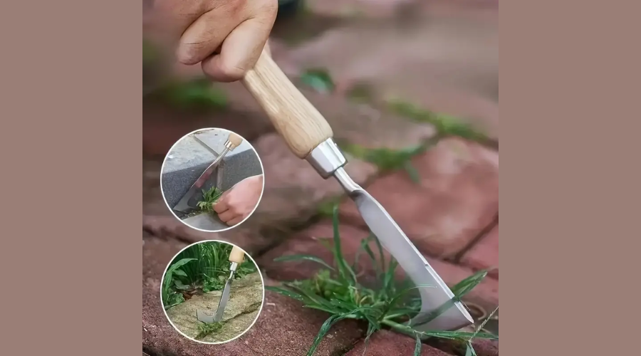 Stainless Steel Crevice Weeding Tool