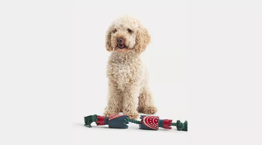 Cracker Rope Pet Toy