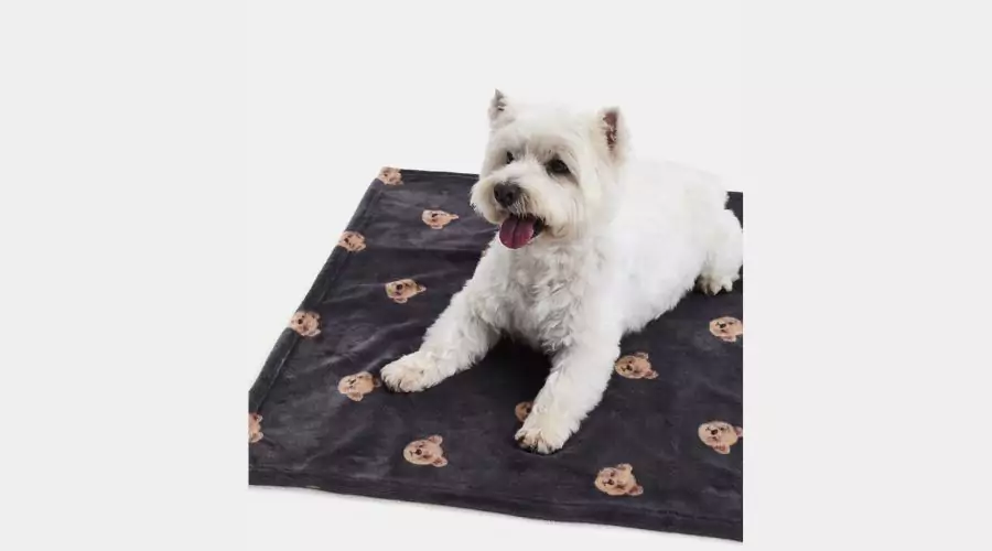 Spencer Bear Pet Blanket