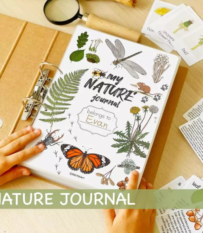 Printable Nature Journal Homeschool Learning Materials