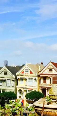 Painted Ladies