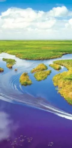 Everglades National Park