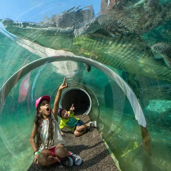 Zoo Miami