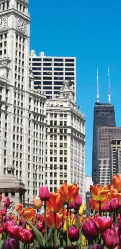 Magnificent Mile