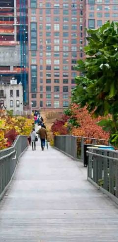 The High Line