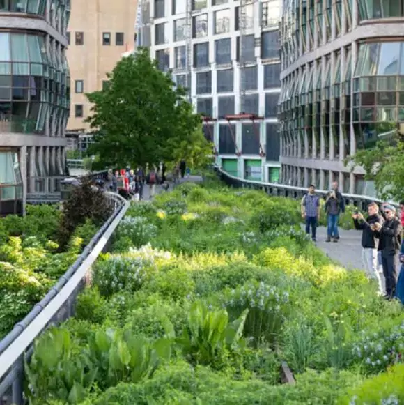 The High Line