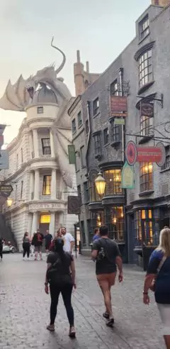 The Wizarding World of Harry Potter
