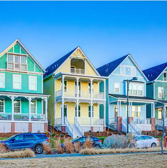 Painted Ladies
