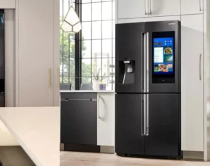 Best Samsung fridge