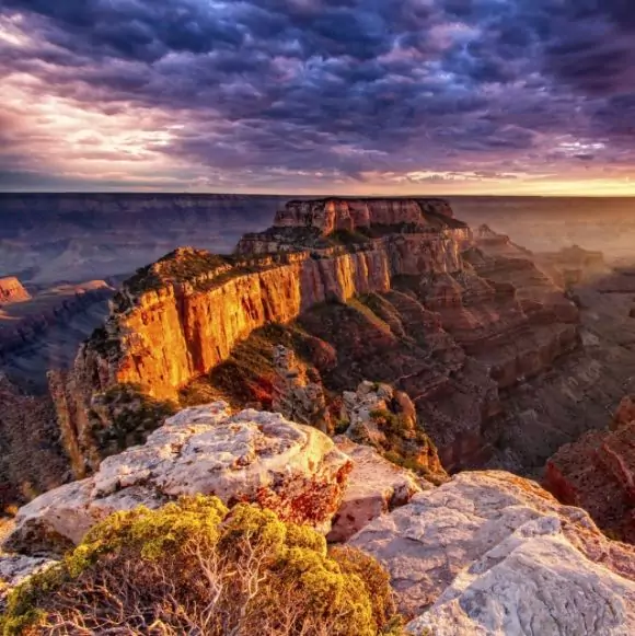 Grand Canyon Nature and Wildlife Tours