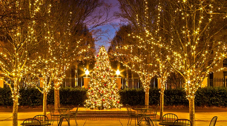 Oversized and Themed Outdoor Christmas Decorations for Impact