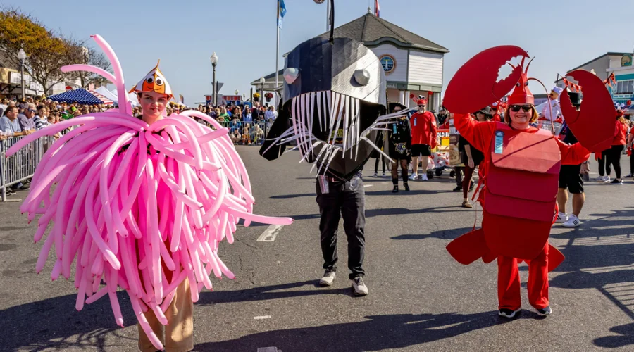 The Spellbinding Origins of the Sea Witch Festival