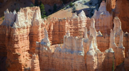 Best Utah National Park Tours for Scenic Adventures