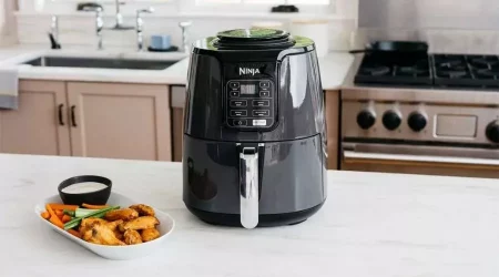 Best Air Fryers for Family Cooking | Savewithnerds