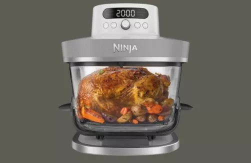 Best Air Fryers for Family Cooking | Savewithnerds