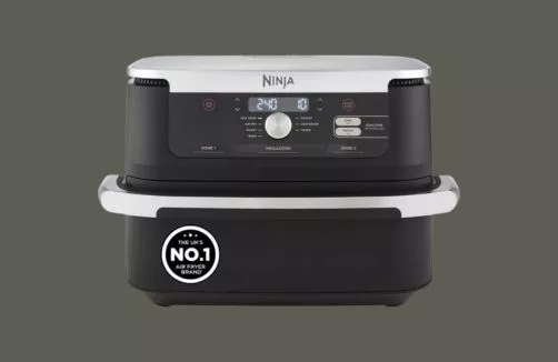 Best Air Fryers for Family Cooking | Savewithnerds