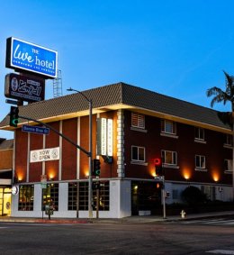 Live Like a Local Mastering the Zones