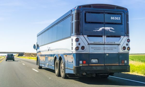 Untitled design (50)