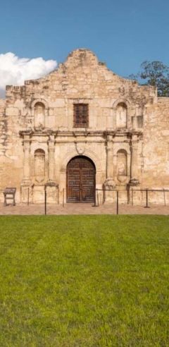 Untitled design (99)