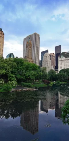 pond-central-park-nyc-5548512